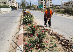 جانب من أعمال قسم الزراعة والبستنة في بلدية طولكرم
