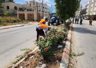 جانب من أعمال قسم الزراعة والبستنة في بلدية طولكرم