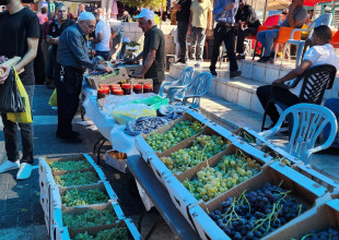 مشاركة رئيس بلدية طولكرم الدكتور رياض عوض في افتتاح اليوم التسويقي للمنتجات الزراعية في ميدان جمال عبد الناصر