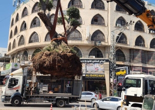 بلدية طولكرم تبدأ العمل فعلياً على إعادة تأهيل دوار شويكة