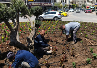 استكمال أعمال إعادة تأهيل دوار شويكة
