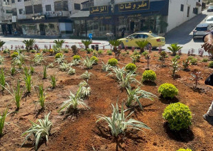 تنفيد طواقم قسم الزراعة والبستنة في بلدية طولكرم أعمال زراعة وتأهيل في دوار حسونة