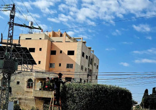 يواصل قسم الزراعة والبستنة في بلدية طولكرم تقليم أشجار المدينة وتجميل شوارعها